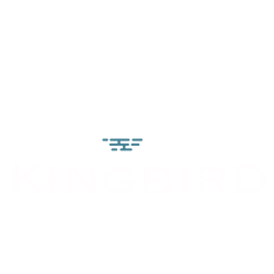 New Kingbird Logos-WhiteBlue-1